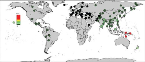 Map showing the proportion of the genome inferred to be Denisovan in ancestry in diverse non-Africans. The color scale is not linear to allow saturation of the high Denisova proportions in Oceania (bright red) and better visualization of the peak of Denisova proportion in South Asia. (Credit: Sankararaman et al./Current Biology 2016;  http://dx.doi.org/10.1016/j.cub.2016.03.037)