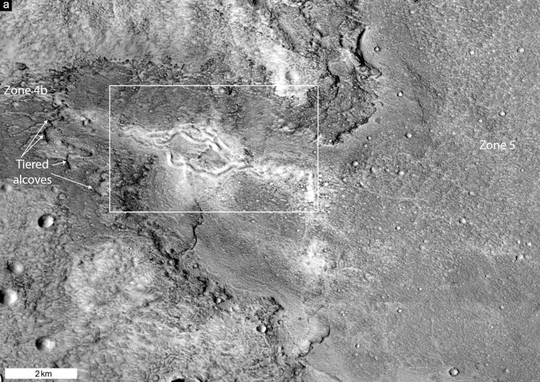 The classic form of eskers in the Phlegra Montes  of Mars. (credit:  Figure 6 in Gallagher and Balme, 2015)