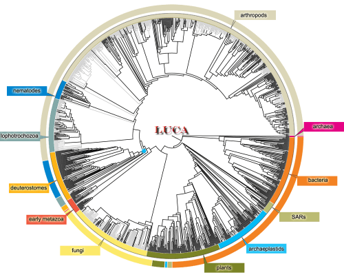 The ‘Circle of Life’ as compiled by Cody Hinchliffe of the University of Michigan and 21 collaborators from the USA, and partly based on Fischetti, M. 2016. The circle of life. Scientific American, v. 314 (March 2016).