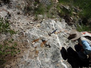 Stockwork in copper-molybdenum porphyry deposit in Mexico (credit: Sundance Minerals)
