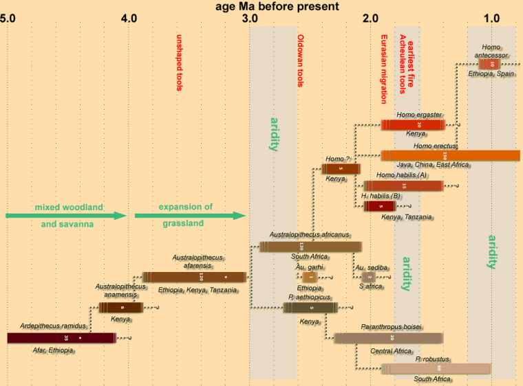 Early history of hominin evolution and evidence for climate change in East Africa. Based on a diagram at the handprint.com website
