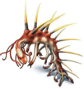 The latest reconstruction of Hallucigenia, by palaeontological illustrator Danielle Dufault (http://www.ddufault.com)