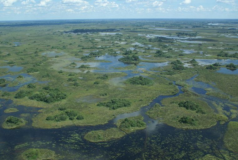 okavango